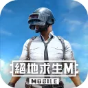 PUBG MOBILE：絕地求生M