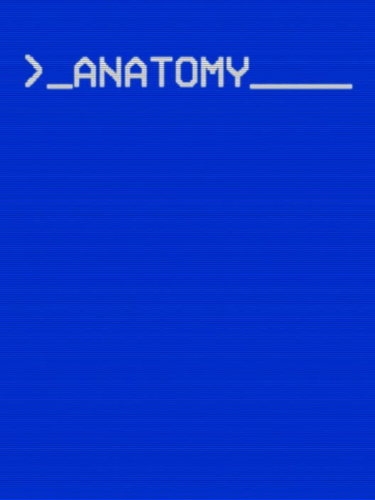 Anatomy