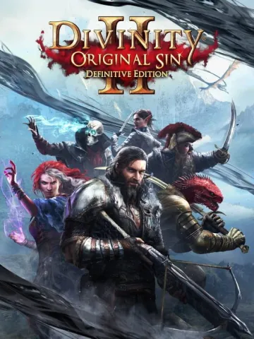 Divinity: Original Sin II - Definitive Edition (2018)