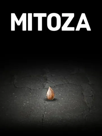 Mitoza