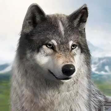 Wolf Warfare