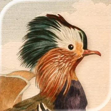 Art of Fauna:療癒動物拼圖