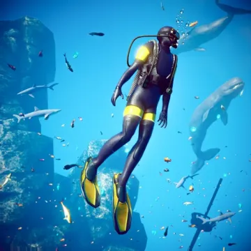 水下 鯊魚 生存 狩獵
