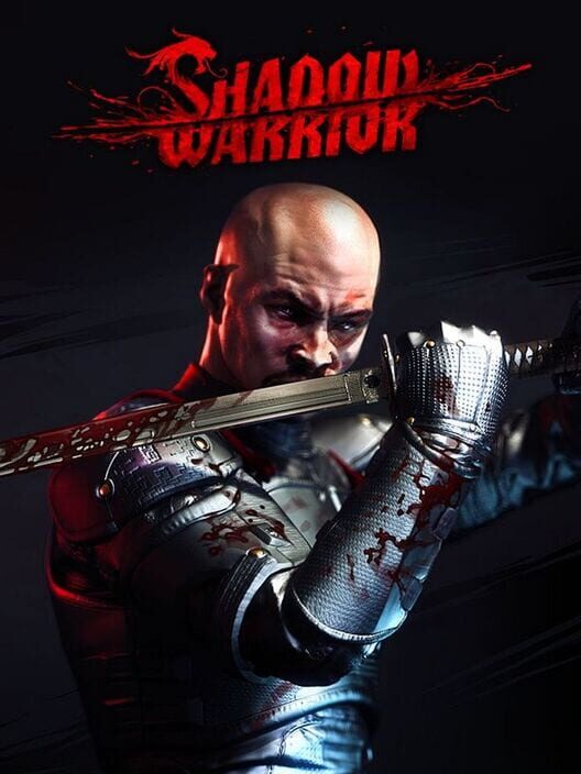 影子武士（2013）