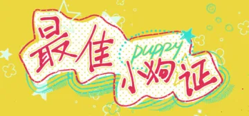 最佳小狗证 Best Puppy Certificate